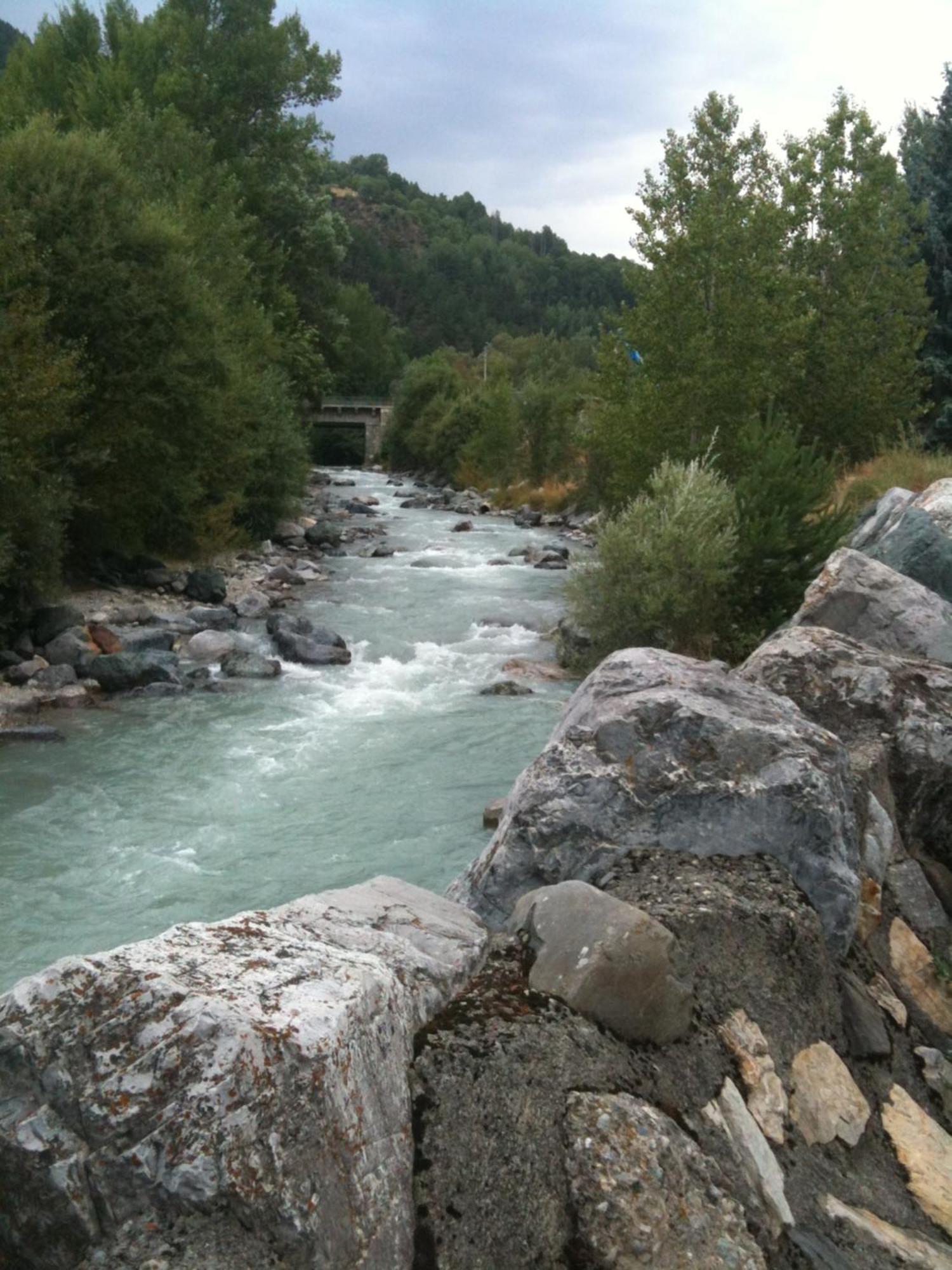 Pied De Piste, ! *